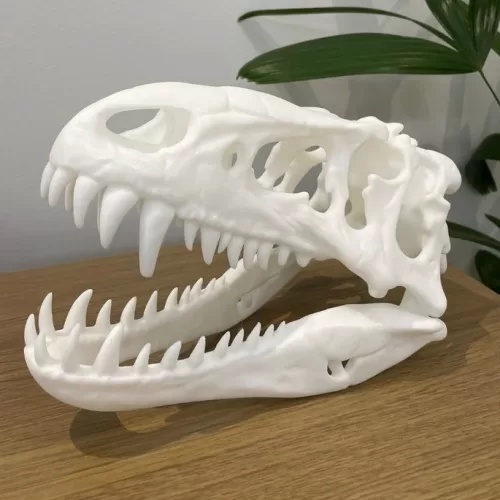 Caveira de Dinossauro T-Rex em Impressão 3D
