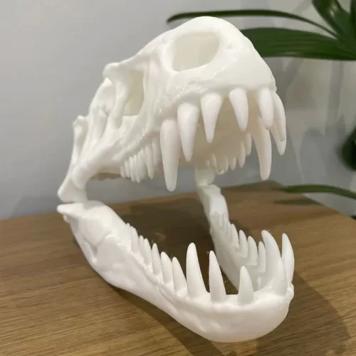 Caveira de Dinossauro T-Rex em Impressão 3D