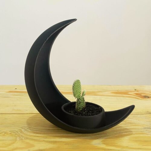 Vaso Decorativo Lua para Suculentas – Lua Negra